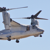 Osprey