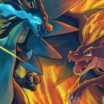 pokimino21
